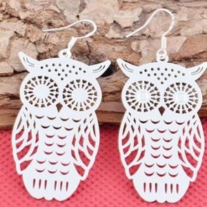 New sterling silver 🦉 earrings
